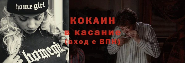 шишки Наволоки