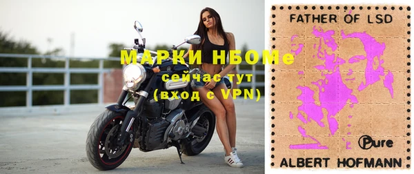 шишки Наволоки