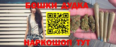 индика Гагарин
