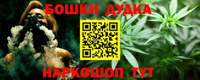индика Гагарин