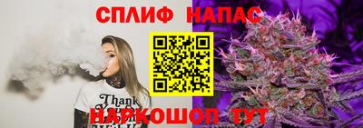 прущие грибы Гай