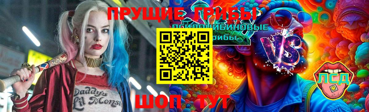 Кореновск  Галлюциногенные грибы MAGIC MUSHROOMS  Псилоцибиновые грибы Psilocybine cubensis  Вход с VPN 